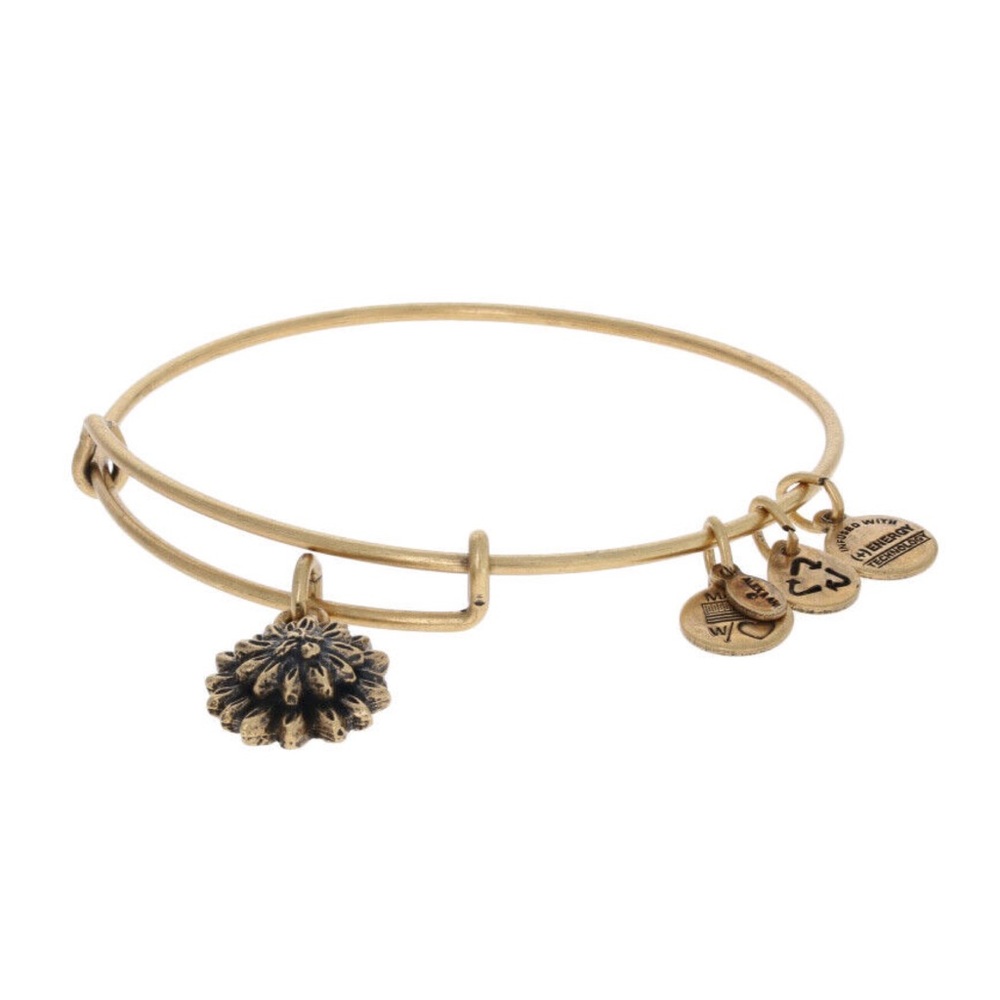 new Alex and Ani ꥟ Sacred Garden - Water Lily Charm Bangle Bracelet ꥟ Gold - Picture 12 of 14